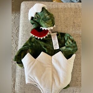 Pottery barn Dinosaur costume